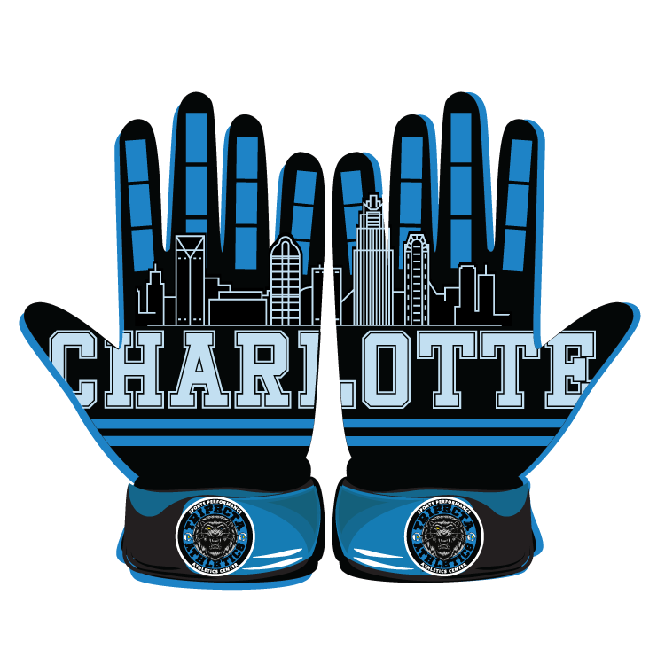 Charlotte skyline baseball glove with blue, black design and custom Trifecta Athletics logo
